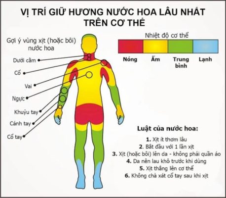 vị trí xịt nước hoa lưu hương lâu