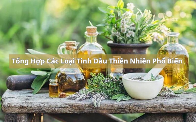 Tổng quan tinh dầu